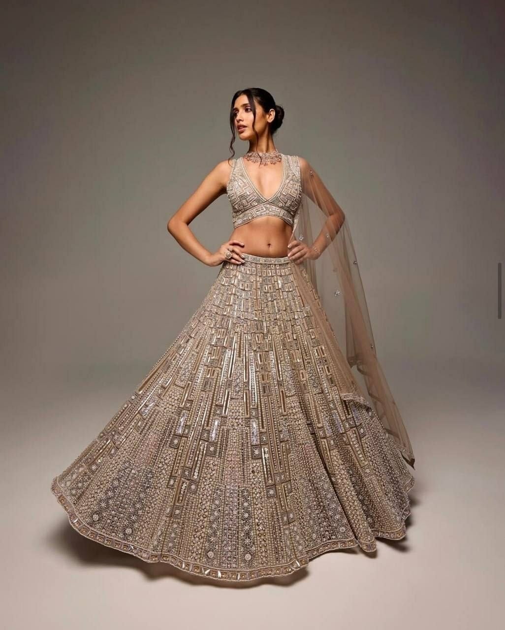 Premium Soft Butterfly Net Lahenga Choli set